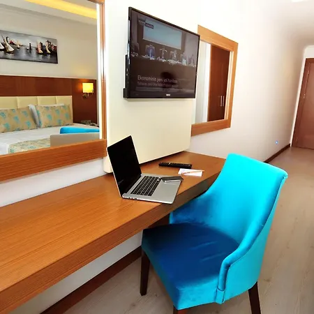 호텔 예니체리 시티 3*